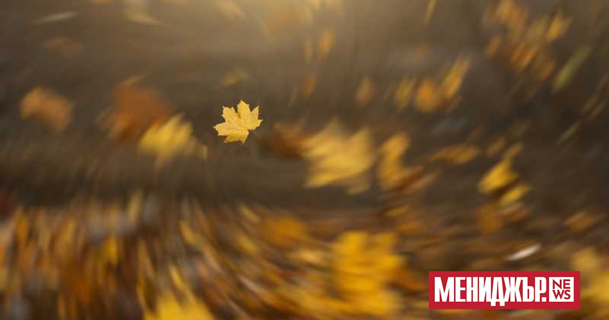 В последния работен ден от седмицата вятърът от юг ще