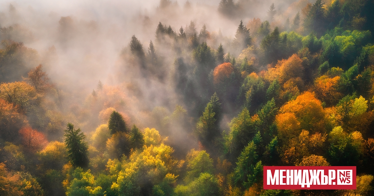 Слаб дъжд ще превалява днес в Северна България и на