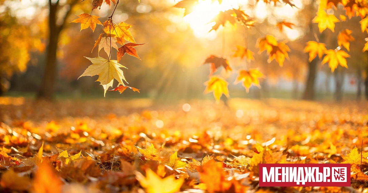 Предимно слънчево ще бъде днес, след обяд с временни увеличения