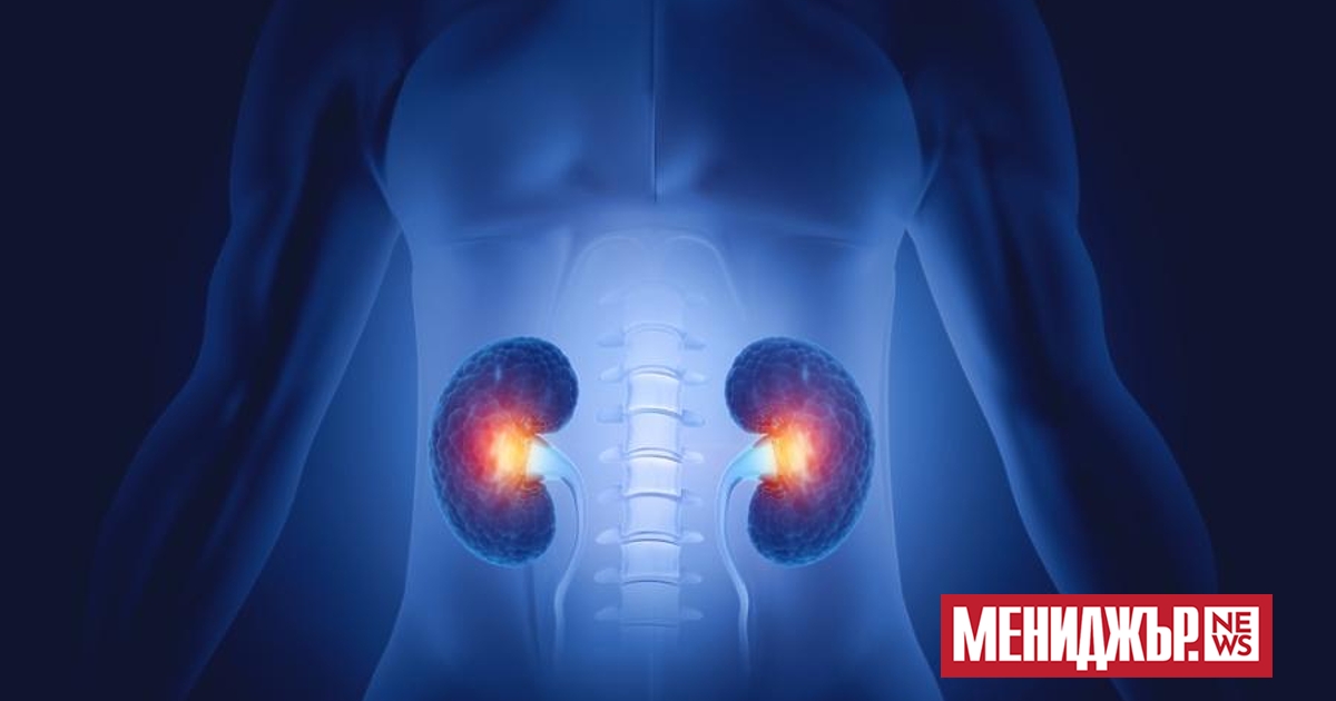 Вечните химикали , и , а сега първоначалните изследвания показват,