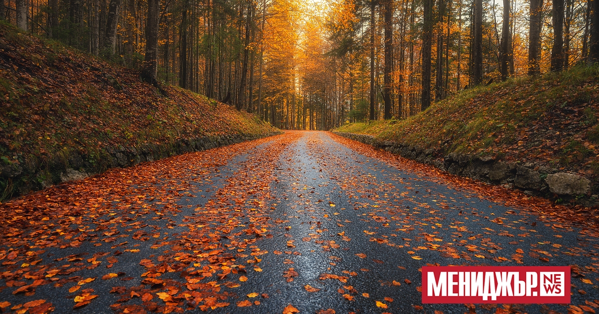 Облачно, ветровито и с валежи ще бъде времетоднес. В Северозападна