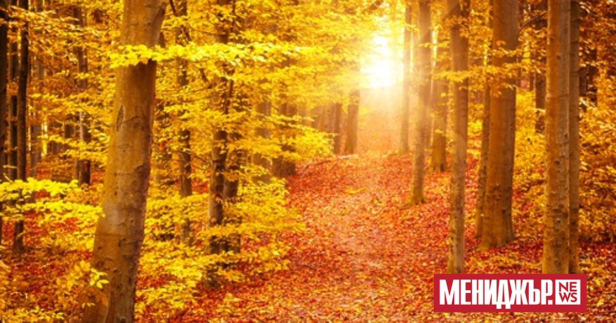 В последния работен дени на седмицата в западните и централните