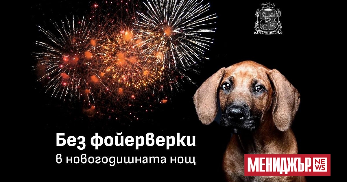 С грижа за децата, домашните любимци и хората с увреждания