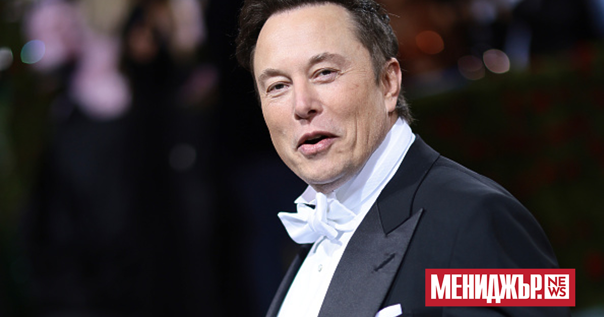 Илон Мъск планира дискусия на живо с Алис Вайдел, кандидата