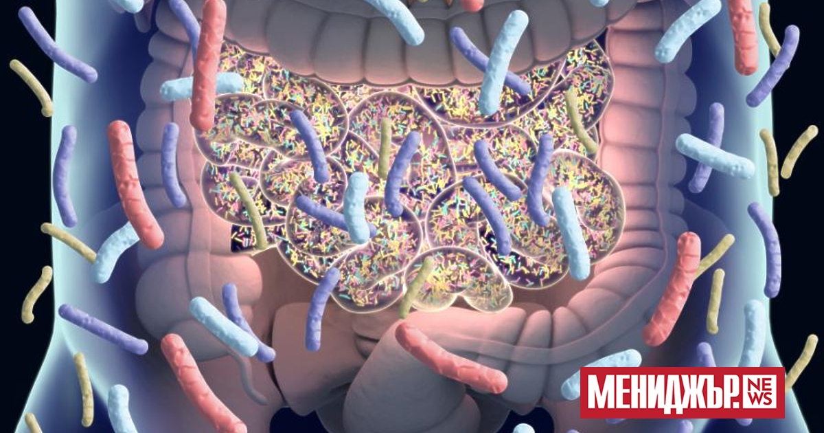 Ново проучване показва, че вариациите в микробиотата на човешките черва