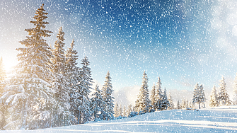 Най ниските температури през януари ще бъдат между минус 20° и