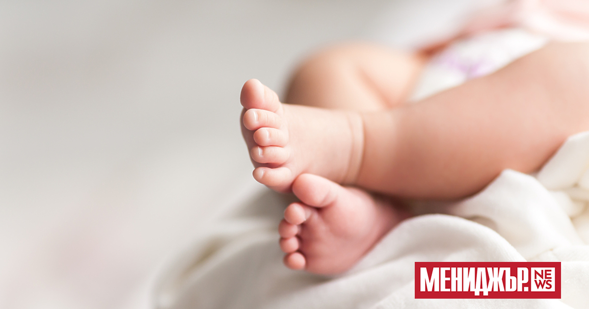 На 31 декември 2024 г. на всички правоимащи лица ще