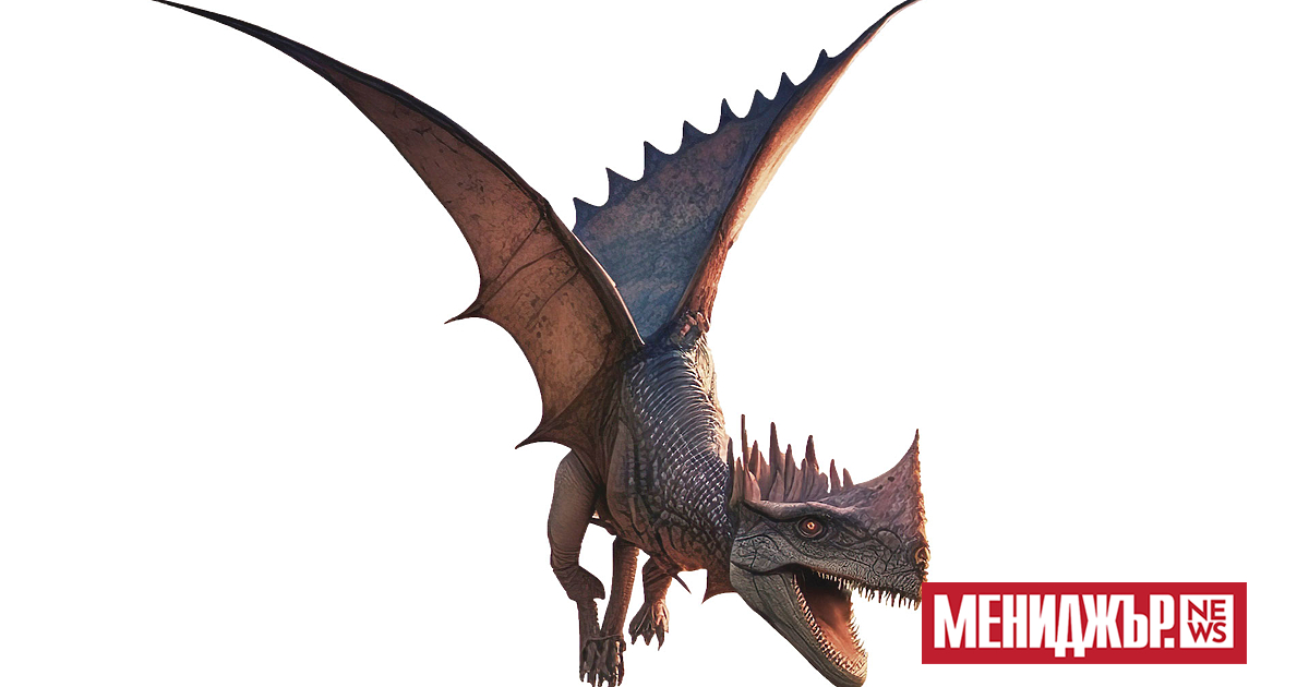 Годината на Дракона според китайския календар трябваше да донесе сила,