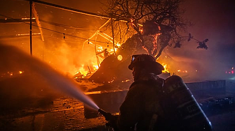 Голата истина в нощта на Оскарите