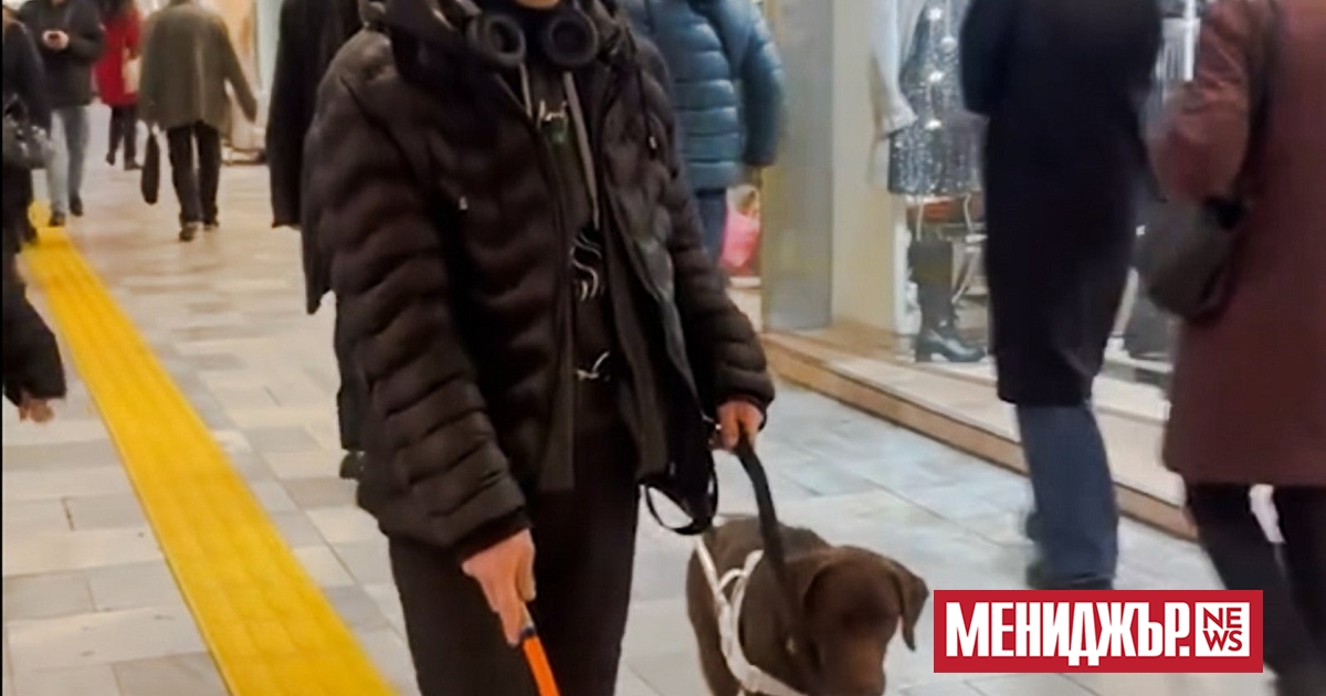 Първата водеща линия за незрящи, разположена в подлеза на бул.