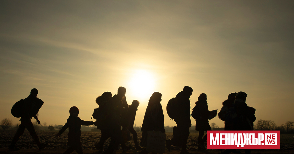 Почти 30 процента от милионите сирийски бежанци, които живеят в