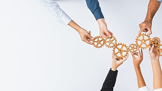 Културни кодове: Практиката на колективното любопитство