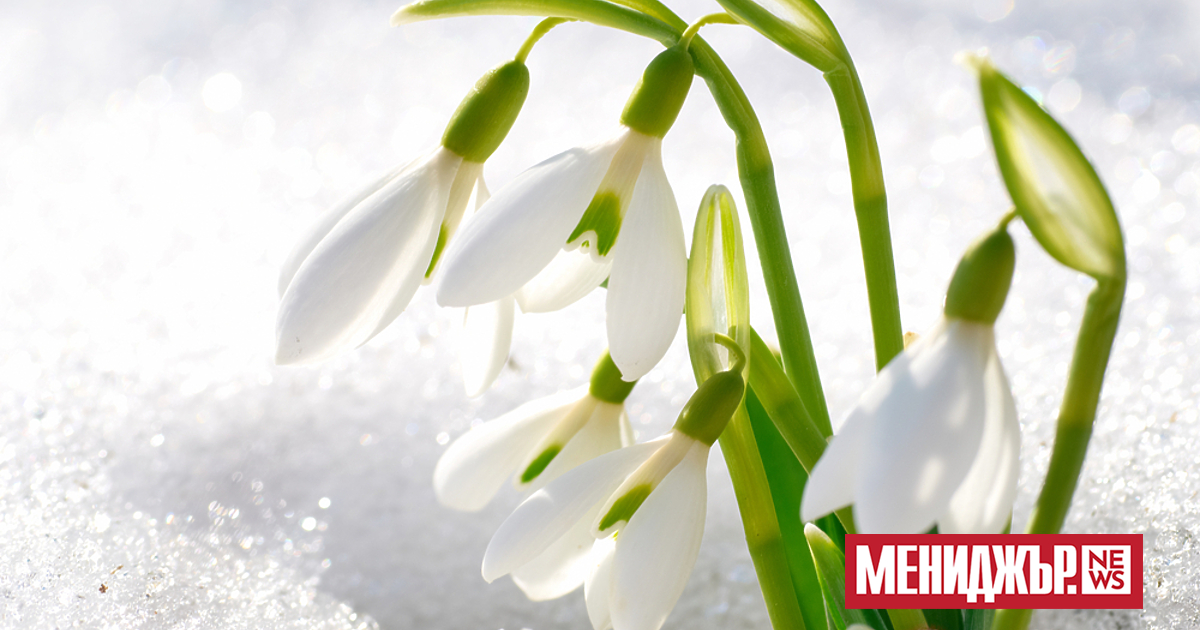 Сутринта на места в равнинната част и котловините ще има