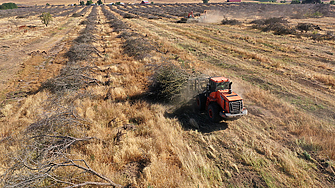 Продължителната суша е най голямата непосредствена заплаха пред която е изправена