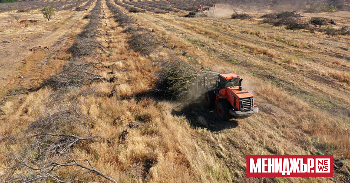 Продължителната суша е най-голямата непосредствена заплаха, пред която е изправена