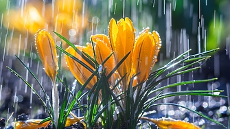 През следващото денонощие времето в страната ще бъде предимно облачно