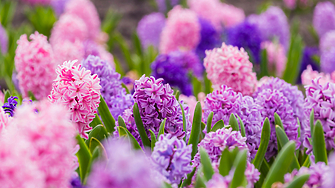 Най ниските температури през март ще са между минус 7 и