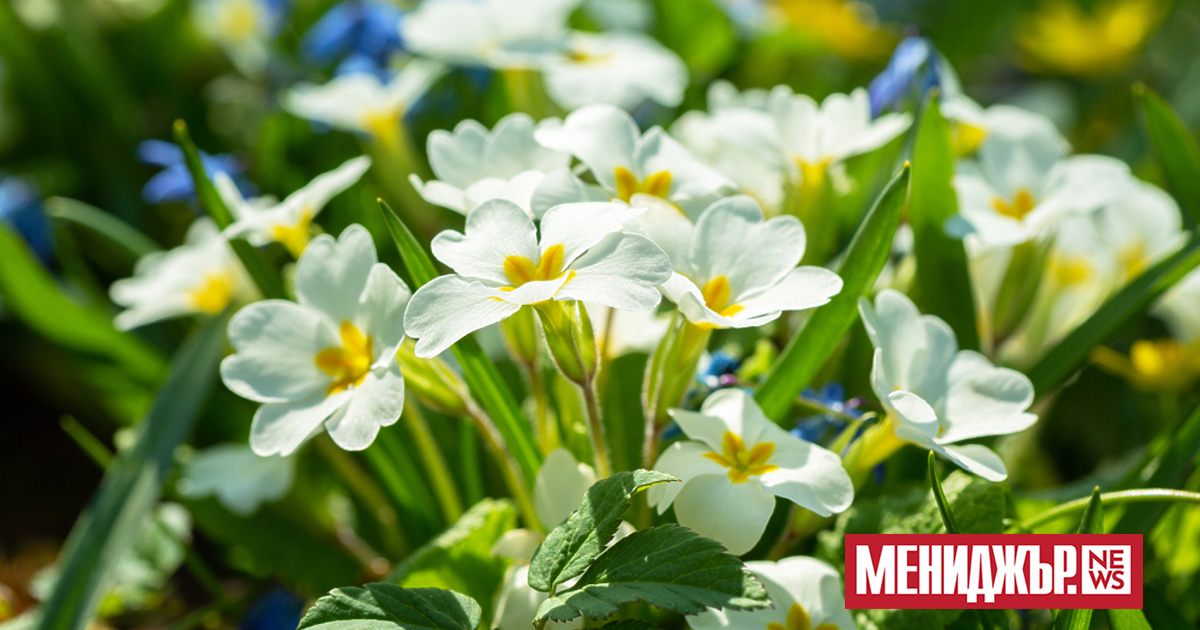 В сутрешните часове на места в равнините и около водните