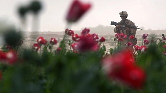 Откакто движението на талибаните което контролира Афганистан въведе забрана