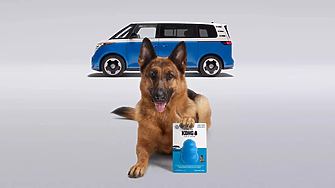 Volkswagen пусна играчка за кучета