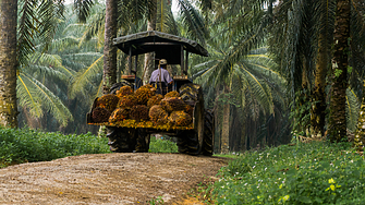 Цените на олиото за готвене могат да се повишат с