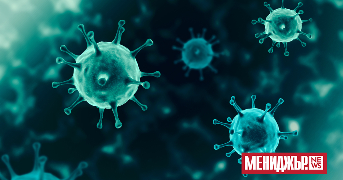 Германската служба за външно разузнаване (BND) през 2020 г. e