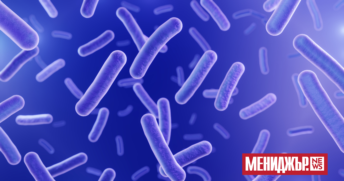 Инфекциите с туберкулоза (ТБ) сред децата в европейския регион са