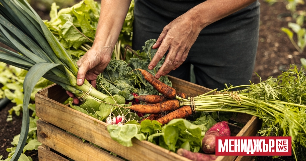 С над 5 процента поскъпват яйцата и брашното на борсите