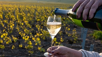 Френската индустрия за шампанско се подготвя за сериозен удар след