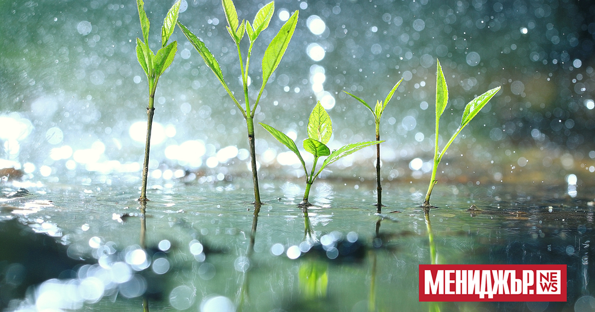 През нощта облачността над по-голямата част от страната ще е