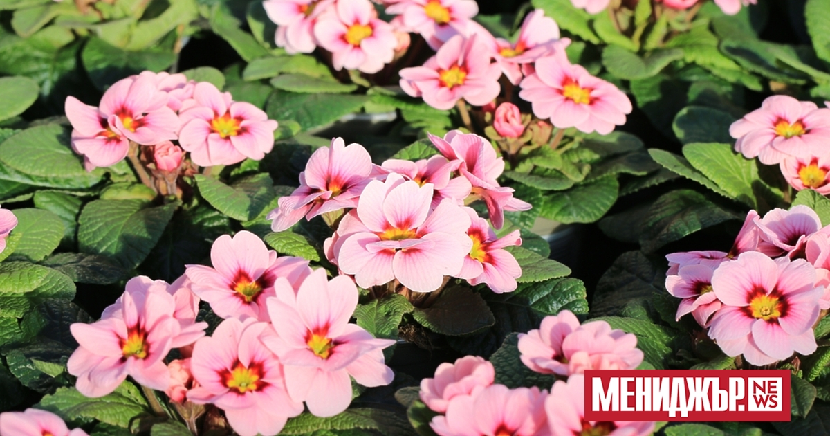 В сряда ще бъде предимно слънчево. По-значителни временни увеличения на