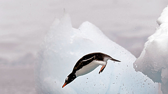 Група необитаеми вулканични острови близо до Антарктика покрити с ледници