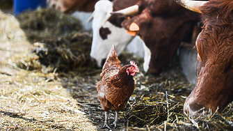 За първи път всички 27 държави членки на Европейския съюз