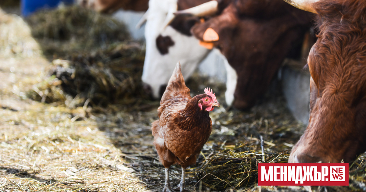 За първи път всички 27 държави членки на Европейския съюз,