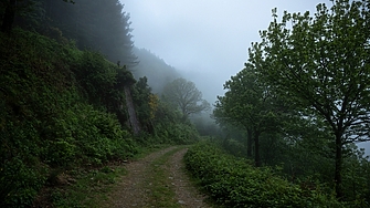 Днес облачността ще е предимно значителна и ще има краткотрайни