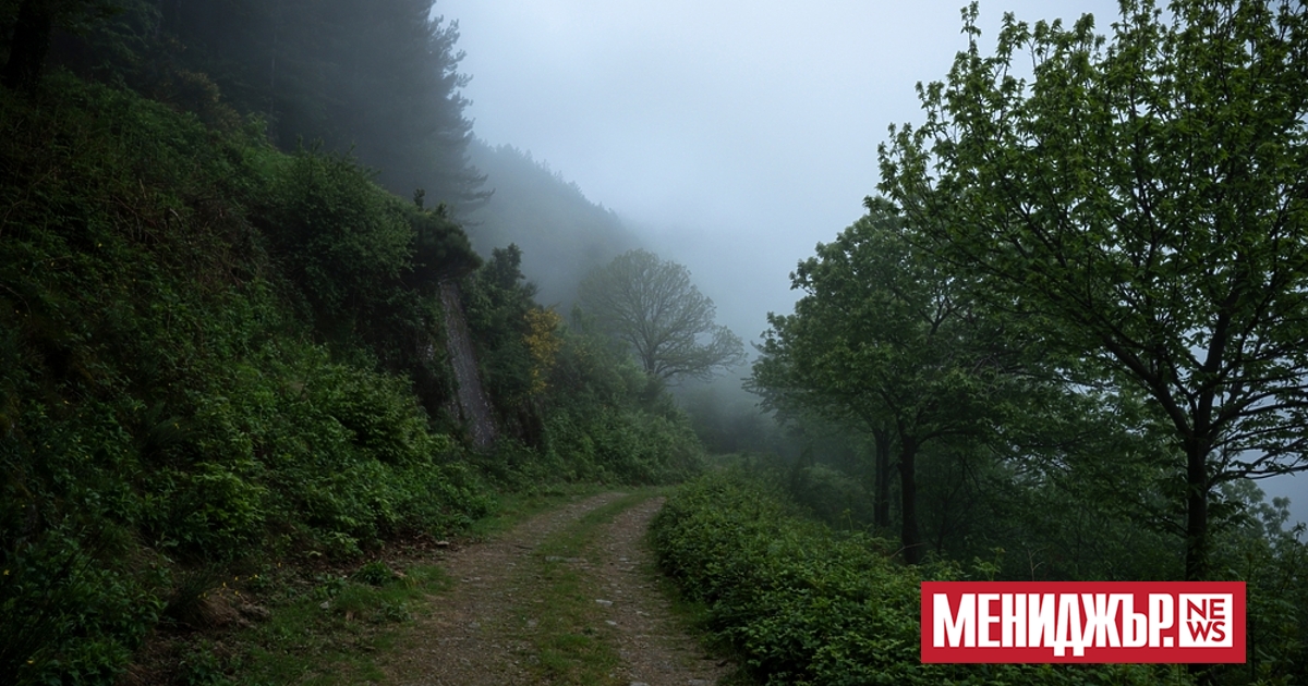 Днес облачността ще е предимно значителна и ще има краткотрайни