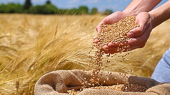 Геополитическото напрежение по света непредвидимата тарифна политика на САЩ слабите