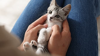 В над 20 града в страната са планирани днес протести