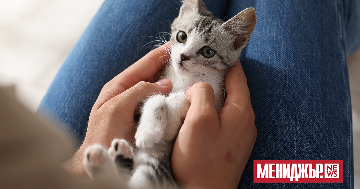 В над 20 града в страната са планирани днес протести