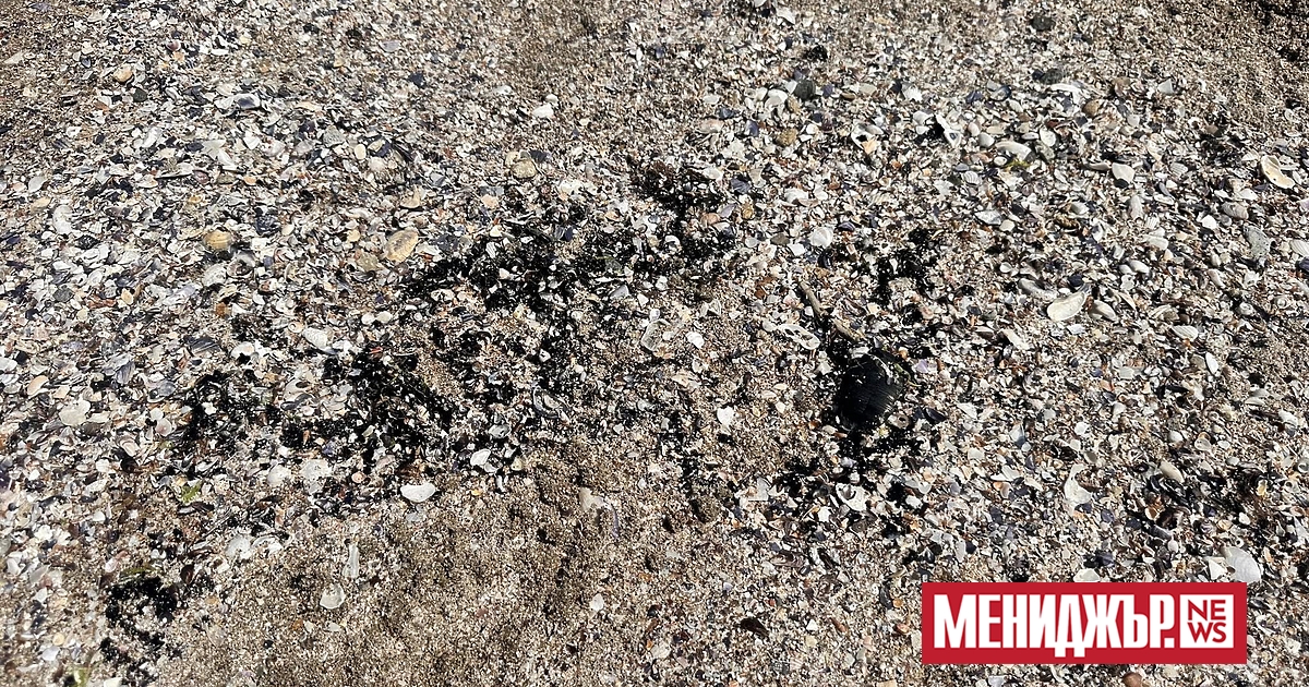 Плажната ивица в Поморие е залята с нефтени петна, които