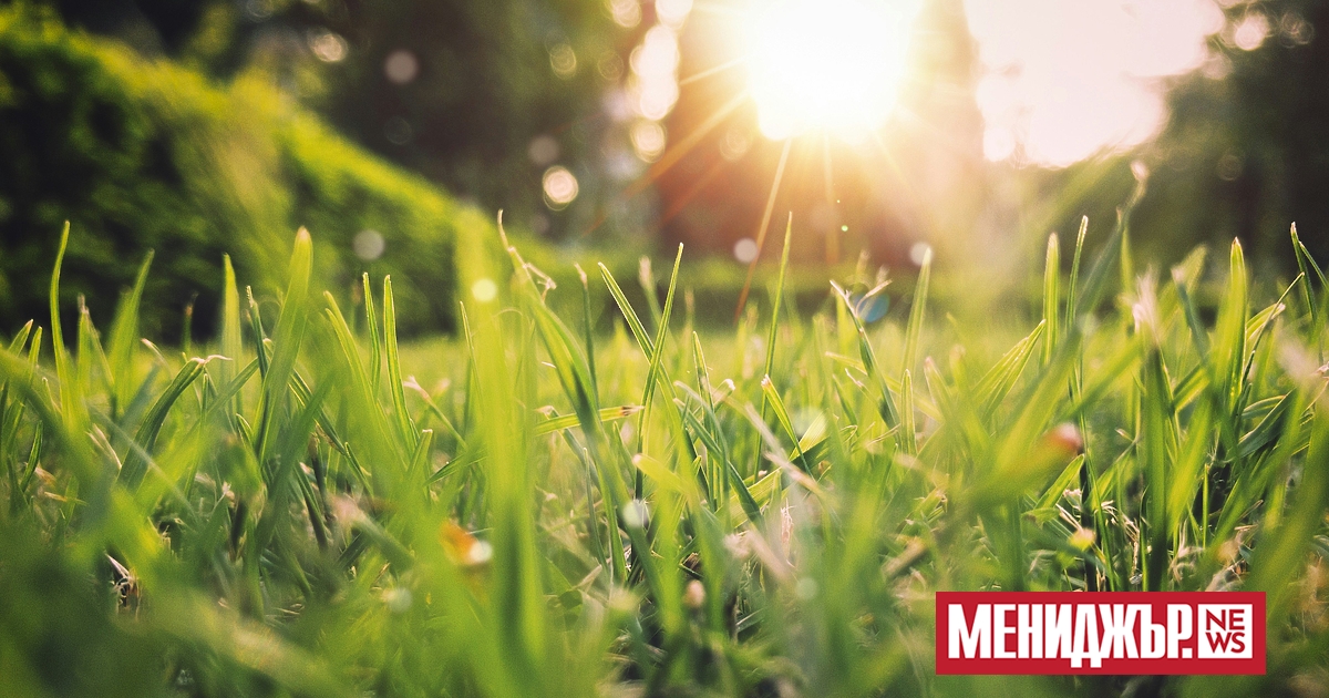 Минималните температури в понеделник (5 май) ще бъдат между 9°