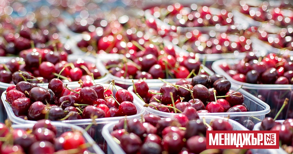 Студът и снегът през март и началото на април попариха