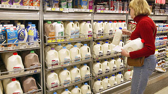 Френският млечен гигант Lactalis опипва почвата за сделка с голям конкурент в Нова Зеландия
