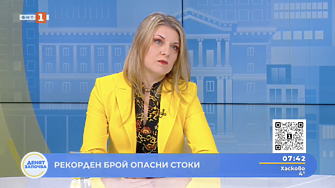 Рекорд на сигналите за опасни стоки в ЕС