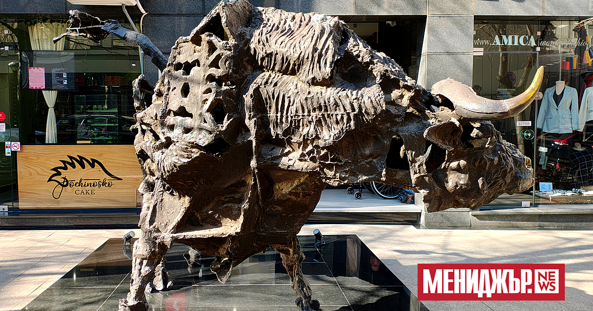 Как България и останалите държави от Централна и Източна Европа