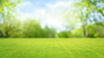 И днес ще преобладава слънчево и топло време Преди обяд