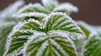 Утрото в сряда ще бъде студено и на места в