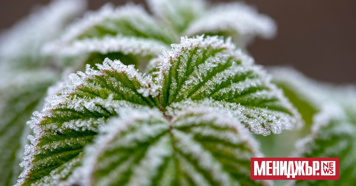 Утрото в сряда ще бъде студено и на места в