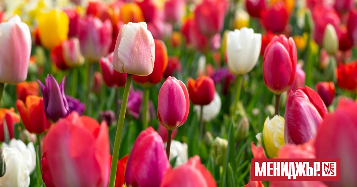 Най-ниските температури през месец май ще са между 2° и 7°.