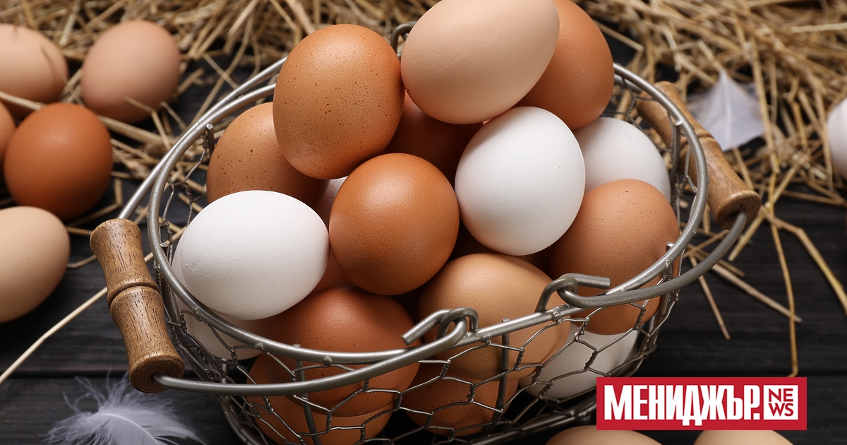 След глобалния недостиг, предизвикан от птичия грип в САЩ, яйцата